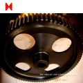 Stainless Steel worm gear